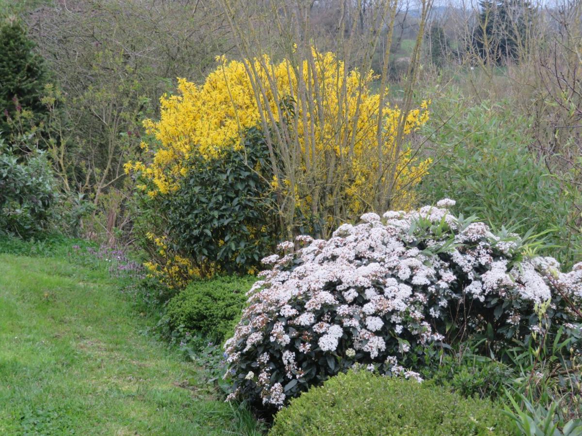 Ecrin De Verdure Sainte-Suzanne  Exteriör bild