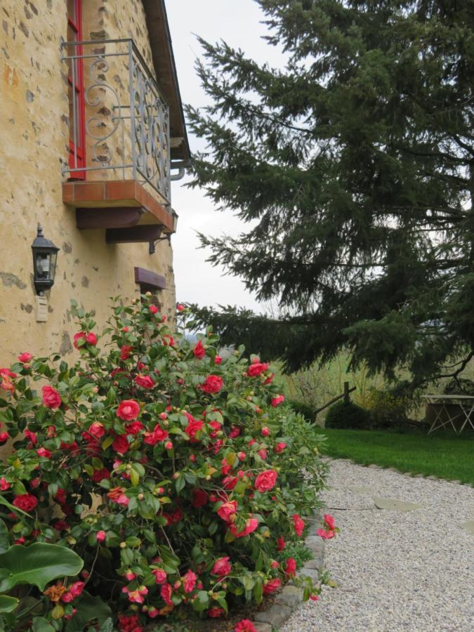 Ecrin De Verdure Sainte-Suzanne  Exteriör bild