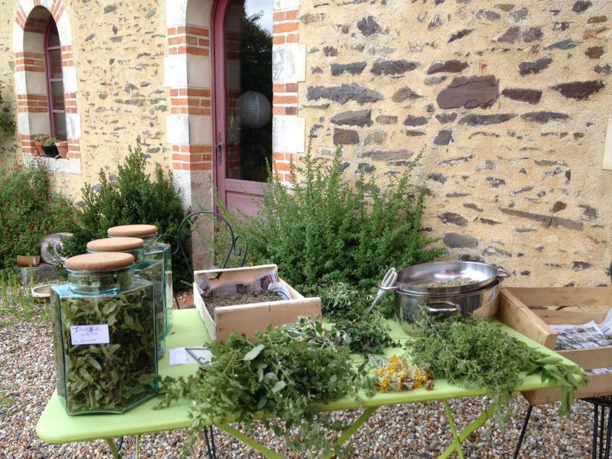 Ecrin De Verdure Sainte-Suzanne  Exteriör bild